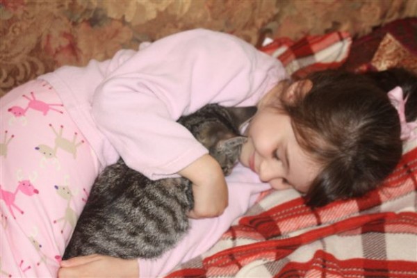 4 year old girl snuggling kitten