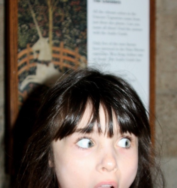 Cloisters, Mary Pope Osborne, Unicorn tapestry, famous unicorn, Dianthus, excited young reader, can't believe it