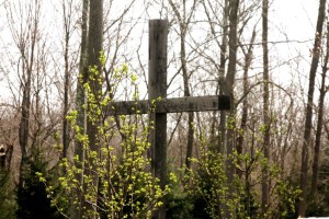 Jesus, Jesus' cross, resurrection, forsythia, church, Easter celebrations, He Is Risen