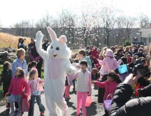 Walking Easter Bunny to egg hunt, confetti, Easter, Easter Bunny, Easter egg hunt, Easter party, friends gather