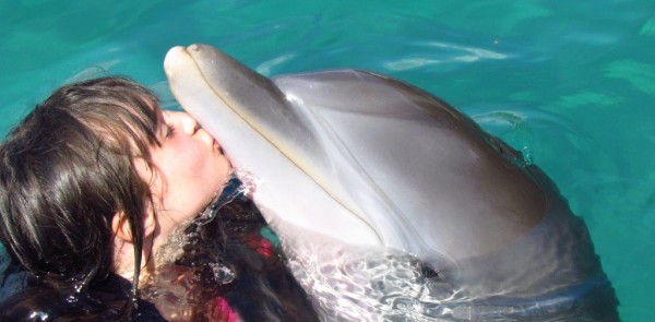 Jamaica, Caribbean, Dolphin kisses, dolphin love, fun, swimming, boating, family time, vacation, dolphins, sting rays (26)