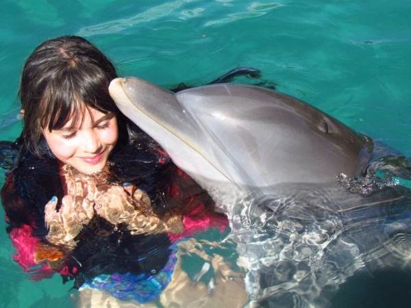 Jamaica, Caribbean, Kind people, Paradise, Island, fun, friends, swimming, boating, family time, vacation, dolphins, sting rays (23)