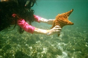 Sea star, snorkeling, giant sea star, seastar, Jamaica, Caribbean, Kind people, Paradise, Island, fun, friends, swimming, boating, family time, vacation