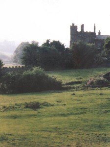 Mom takes a walk at the castle, Medieval castle, misty castle