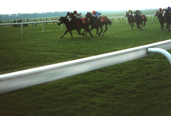 English racing, horse racing in England, England, horseback riding, racing, Royal Ascot, Royal Enclosure, Newmarket Race Track, grass racecourse