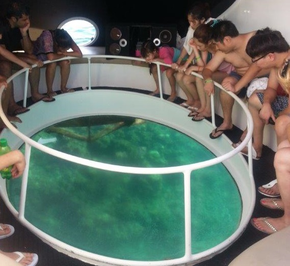 Glass-bottom boat, Caribbean, Barcelo, islands, Punta Cana, resorts, Caribbean resort (60a)