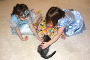 Bianca Tyler  animal lover  dogs  cats  love  devotion  teach children to love animals (185)