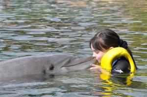 Bianca Tyler  animal lover  dolphin  dolphins  teach children to love animals (242)