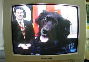 Bianca Tyler  TV  television dog  dog on TV