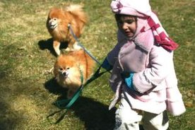 Bianca Tyler  animal lover  dogs  cats  love  devotion  teach children to love animals (69)