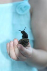 Bianca Tyler  animal lover  snail  teach children to love animals (225)