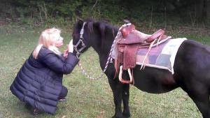 Bianca Tyler  animal lover  sweet pony  pony