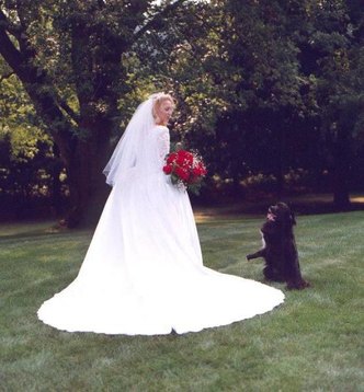 Bianca Tyler  animal lover  wedding dog  dog walks Bianca down the aisle (2)