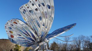 World of Wings, New York, butterflies, turtles, atrium,  (15)