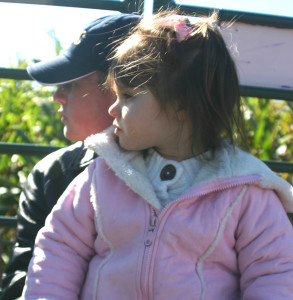 pumpkin picking, looking the same way, sweet brother and sister, hayride