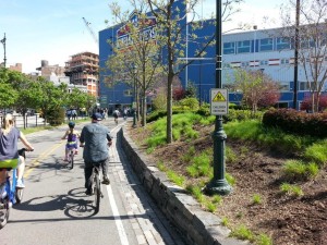 Mother's Day, NYC, New York City,  bike ride, Mama Bird, baby birds, Freedom Tower (5)