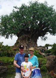 Animal Kingdom, Disney World, Magic Kingdom, Epcot (2)