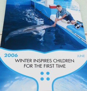 Clearwater Marine Aquarium, Winter, Hope, Dolphin Tale, Dolphin Tale movie, Dolphin Tale 2 (16)