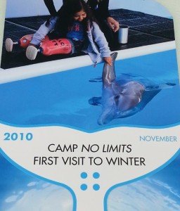 Clearwater Marine Aquarium, Winter, Hope, Dolphin Tale, Dolphin Tale movie, Dolphin Tale 2 (19)