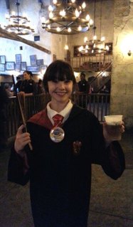 Harry Potter World, Universal, Harry Potter, wizards, wands, Universal Studios (13)