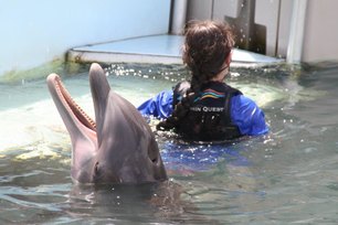 Dolphin Trainer, Dolphin Quest, Bermuda, Hawaii, baby dolphins, feeding dolphins, gating, measuring, loving dolphins (17)