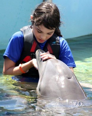 Dolphin Trainer, Dolphin Quest, Bermuda, Hawaii, baby dolphins, feeding dolphins, gating, measuring, loving dolphins (18)
