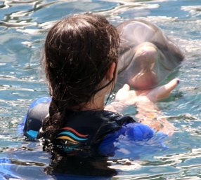 Dolphin Trainer, Dolphin Quest, Bermuda, Hawaii, baby dolphins, feeding dolphins, gating, measuring, loving dolphins (19)