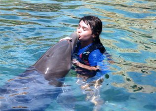 Dolphin Trainer, Dolphin Quest, Bermuda, Hawaii, baby dolphins, feeding dolphins, gating, measuring, loving dolphins (29)