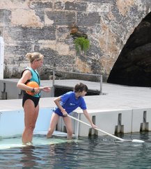 Dolphin Trainer, Dolphin Quest, Bermuda, Hawaii, baby dolphins, feeding dolphins, gating, measuring, loving dolphins (4)