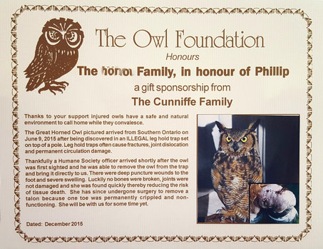 Owl Foundation (1), Canada, owls