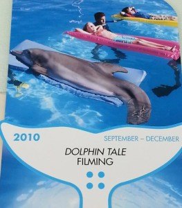 Clearwater Marine Aquarium, Winter, Hope, Dolphin Tale, Dolphin Tale movie, Dolphin Tale 2 (20)