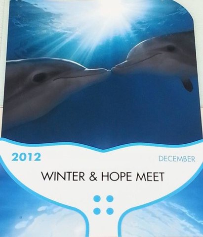 Clearwater Marine Aquarium, Winter, Hope, Dolphin Tale, Dolphin Tale movie, Dolphin Tale 2 (21)