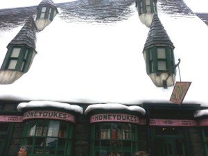 Harry Potter World, Universal, Harry Potter, wizards, wands, spells (24)