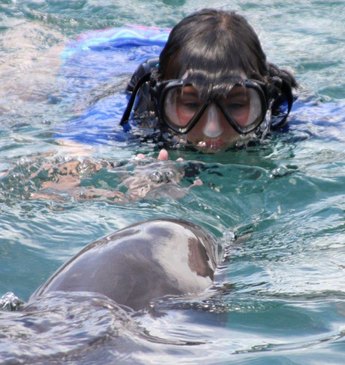 Dolphin Trainer, Dolphin Quest, Bermuda, Hawaii, baby dolphins, feeding dolphins, gating, measuring, loving dolphins (14)