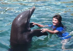 Dolphin Trainer, Dolphin Quest, Bermuda, Hawaii, baby dolphins, feeding dolphins, gating, measuring, loving dolphins (31)