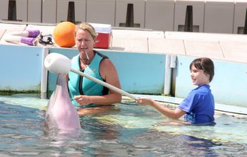 Dolphin Trainer, Dolphin Quest, Bermuda, Hawaii, baby dolphins, feeding dolphins, gating, measuring, loving dolphins (8)
